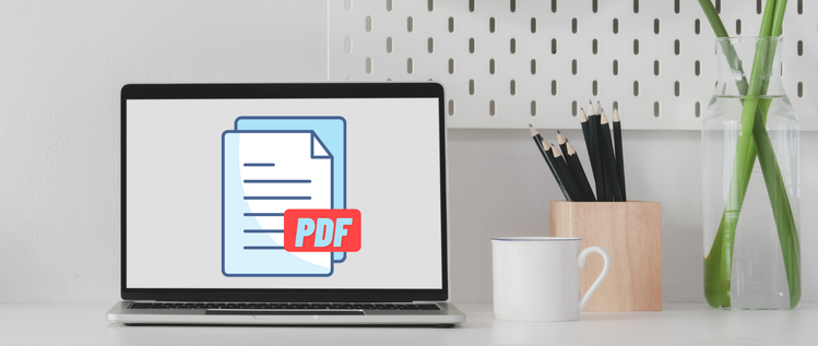 pdf formats